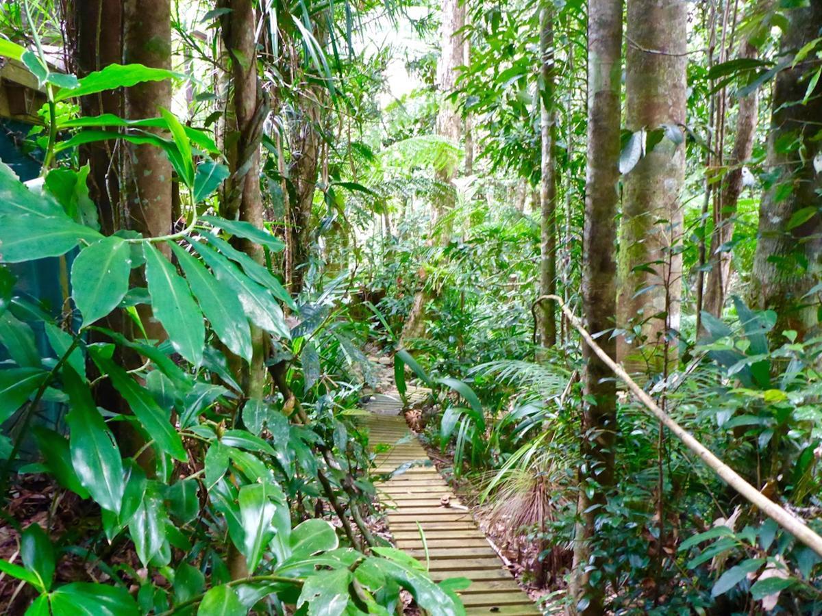 Kuranda Ngorongoro Lodge Eksteriør billede