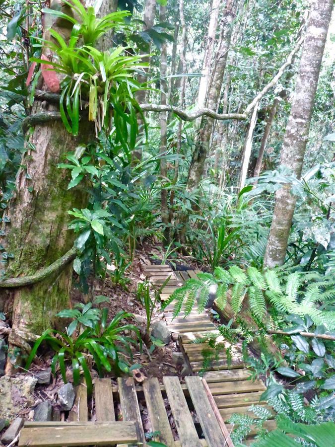 Kuranda Ngorongoro Lodge Eksteriør billede